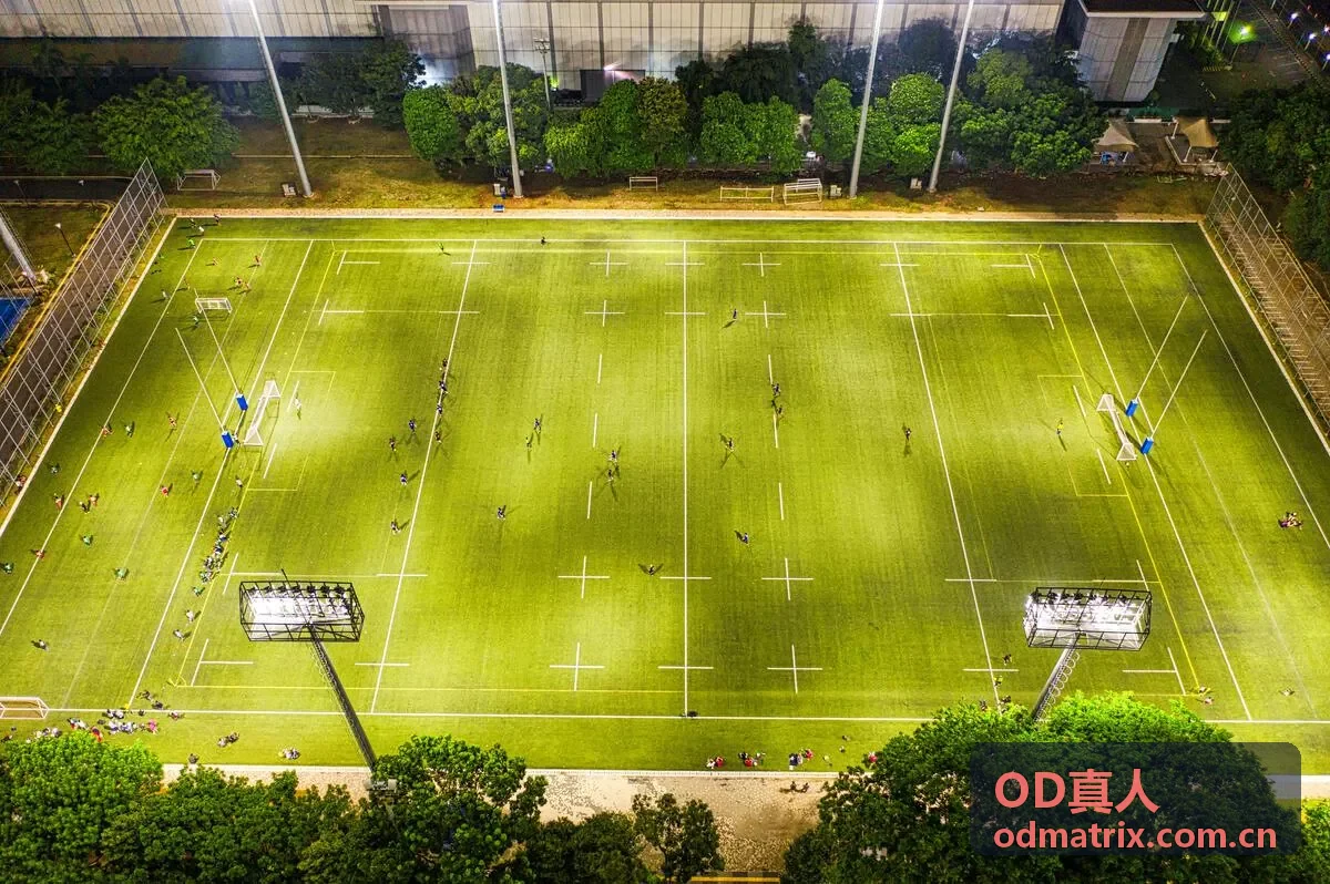 OD真人百家乐