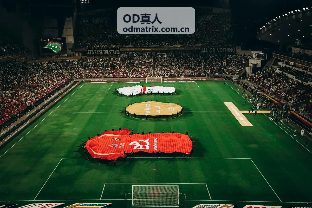 OD真人VIP定制化礼遇与专属优惠